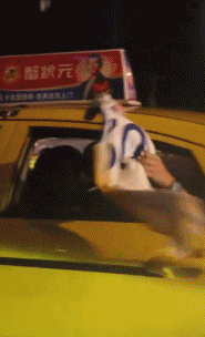 星空官网-库里在社媒发布中国行视频:刚落地中国,这里的氛围无与伦比