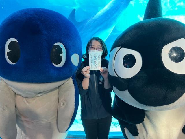 星空体育官网-足球从娃娃抓起!围观隔壁国家小朋友们的足球周末