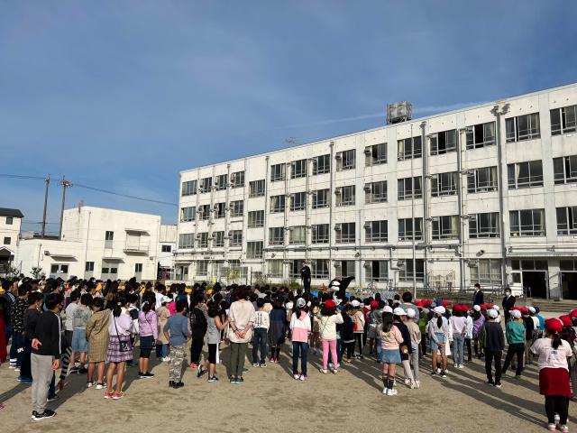 星空体育官网-足球从娃娃抓起!围观隔壁国家小朋友们的足球周末